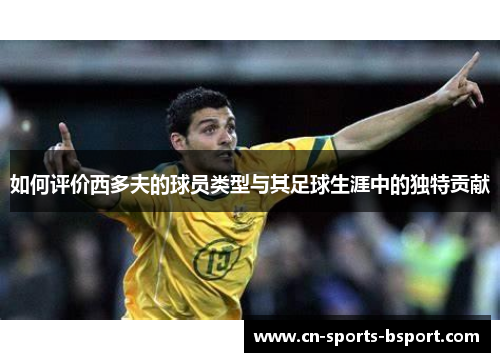 如何评价西多夫的球员类型与其足球生涯中的独特贡献