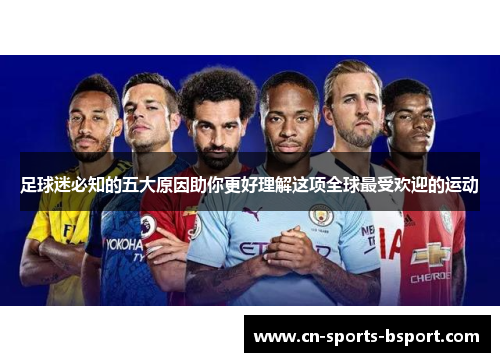 足球迷必知的五大原因助你更好理解这项全球最受欢迎的运动