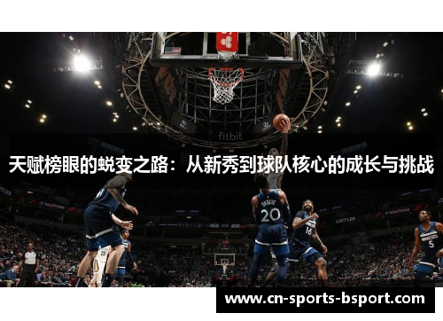 天赋榜眼的蜕变之路：从新秀到球队核心的成长与挑战