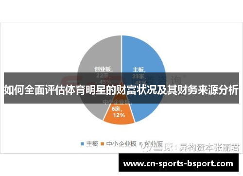 如何全面评估体育明星的财富状况及其财务来源分析