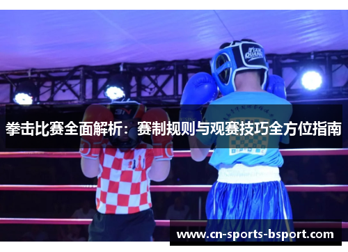 拳击比赛全面解析：赛制规则与观赛技巧全方位指南