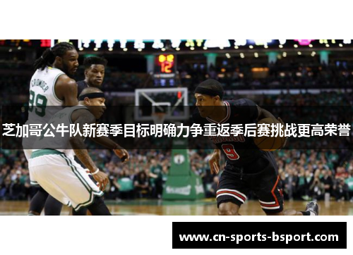 芝加哥公牛队新赛季目标明确力争重返季后赛挑战更高荣誉